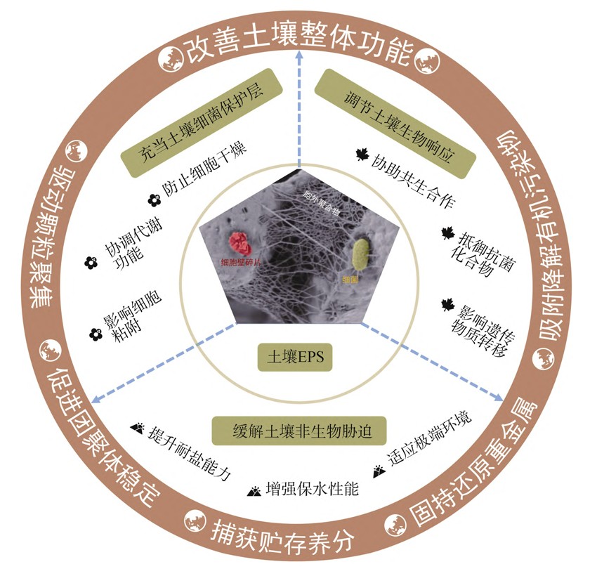 EPS 相关示意图