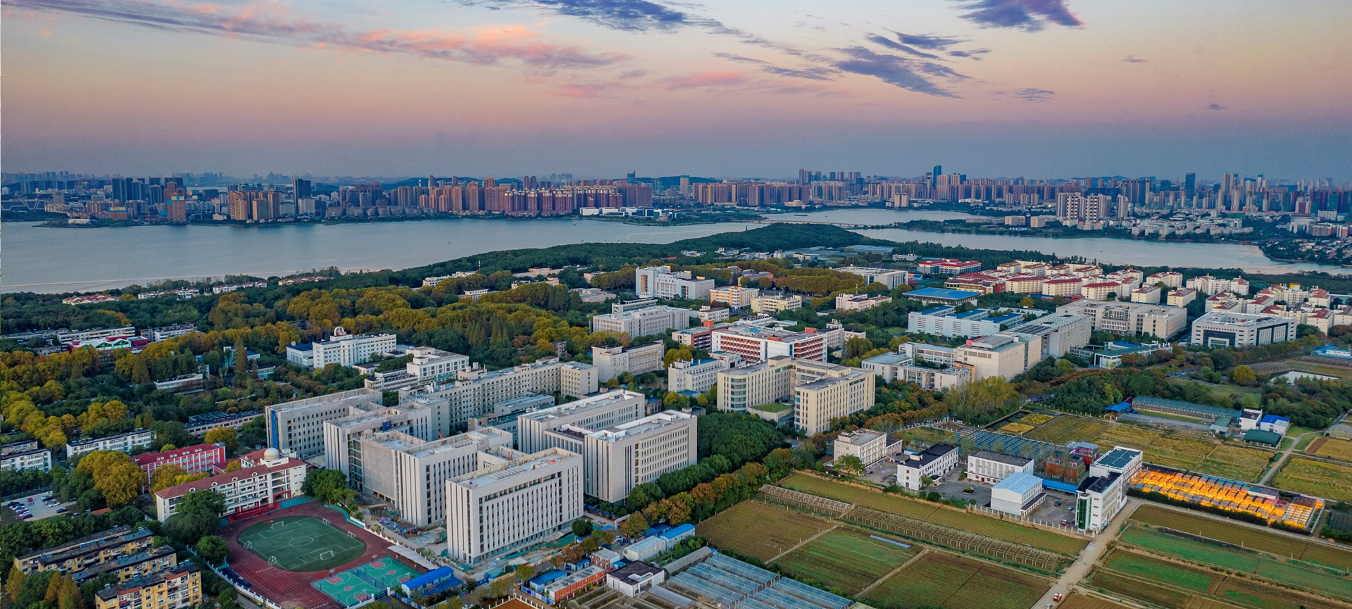 研究展示大图